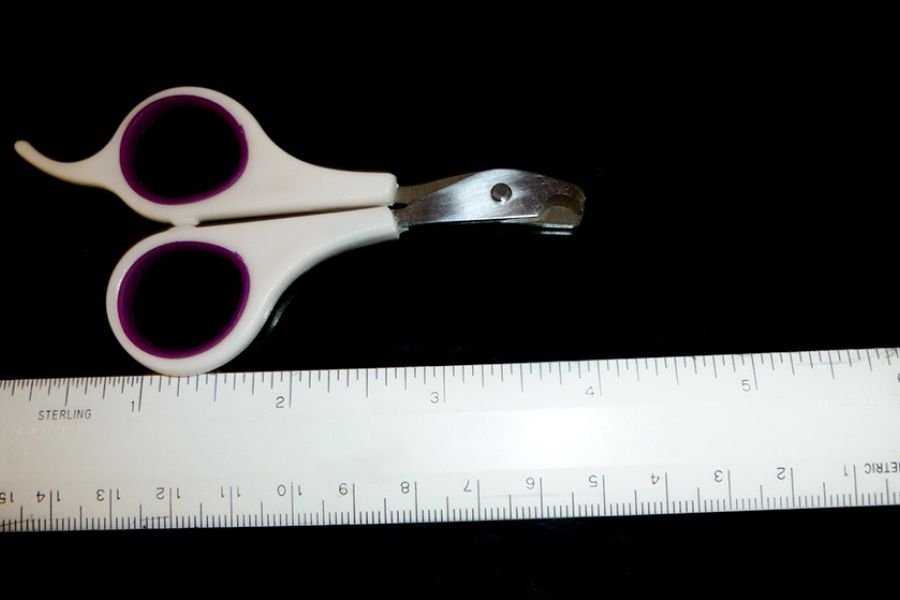 Nail clipper