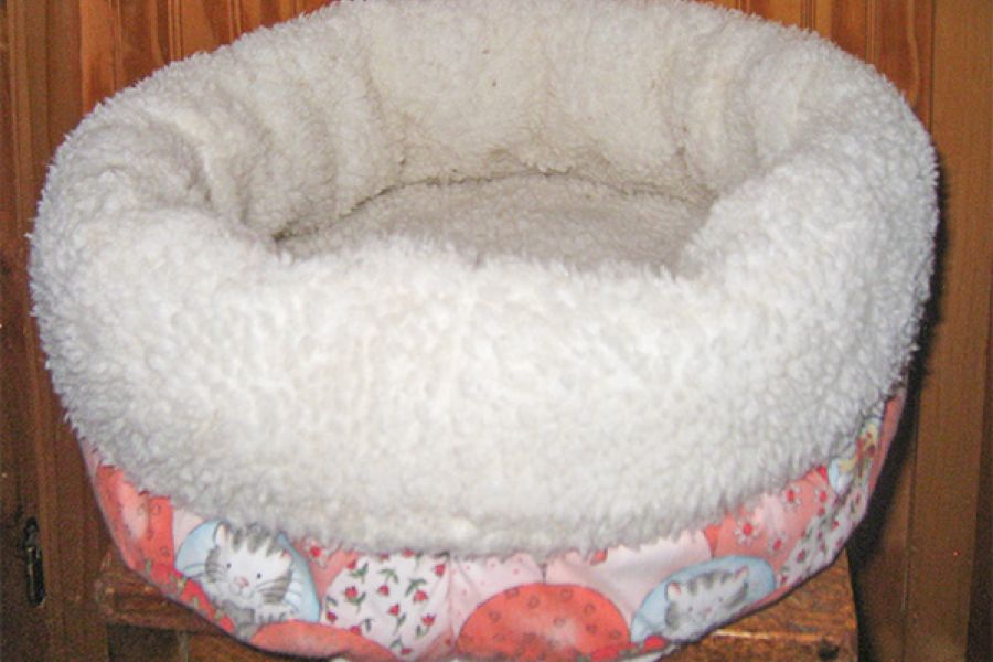 cat bed