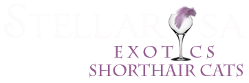 Stellarosa Exotics